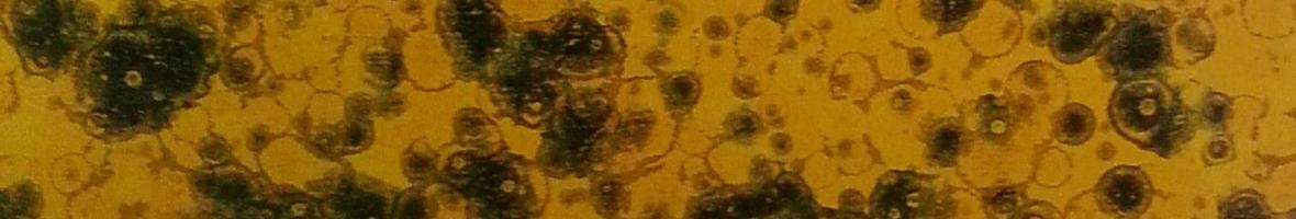 English spot marbled paper design